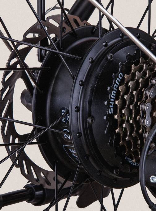 Heren Alcott zwart elektrische vouwfiets ebike rks 250w shimano lithiumbatterij accessoires PT24561