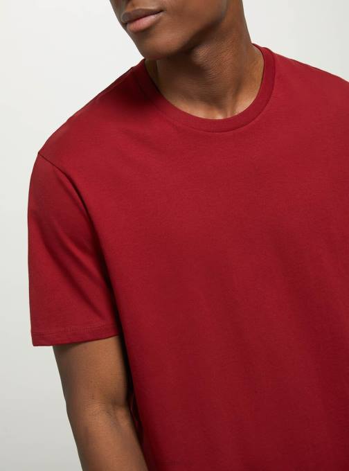 Heren Alcott bk1 zwart katoenen T-shirt met ronde hals kleding PT241069