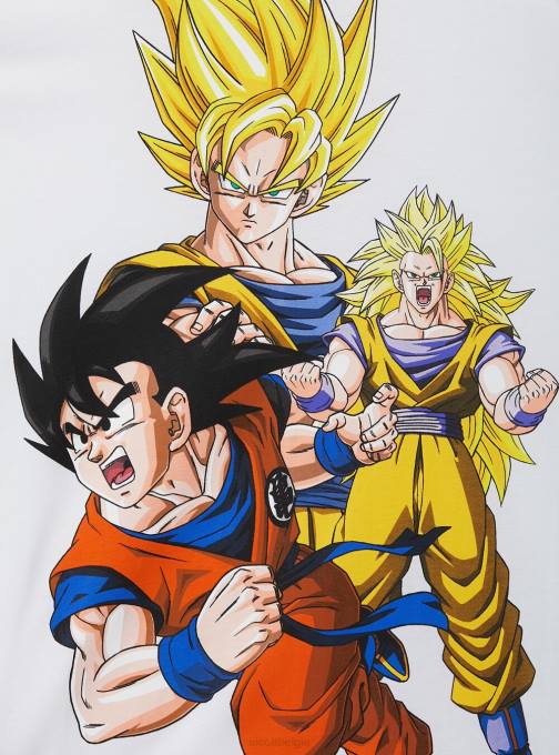 Heren Alcott wh3 wit drakenbal t-shirt kleding PT241104