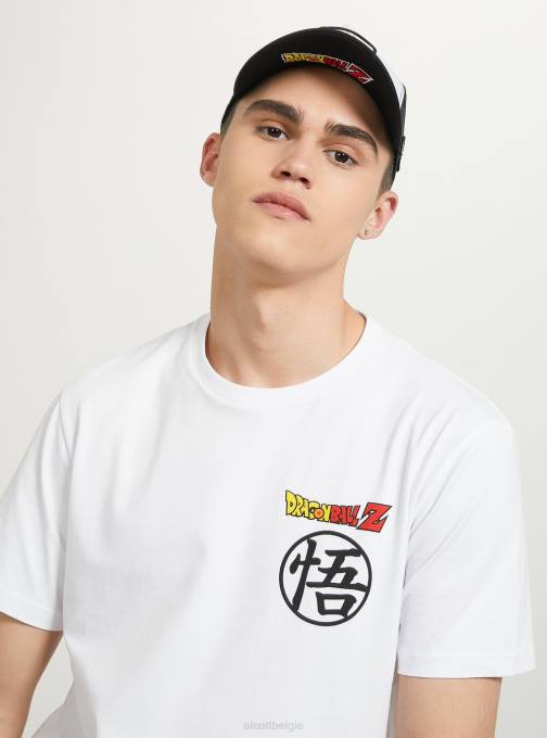 Heren Alcott wh3 wit drakenbal t-shirt kleding PT24660