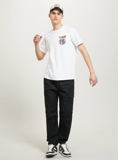 Heren Alcott wh3 wit drakenbal t-shirt kleding PT24660