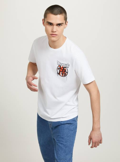 Heren Alcott wh3 wit drakenbal t-shirt kleding PT24665