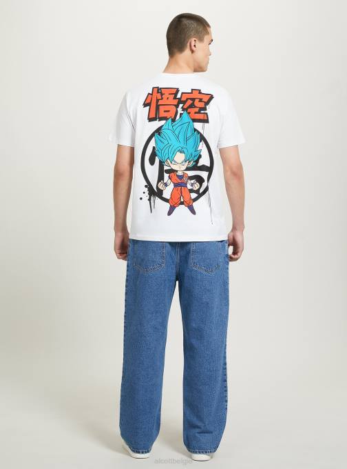 Heren Alcott wh3 wit drakenbal t-shirt kleding PT24665