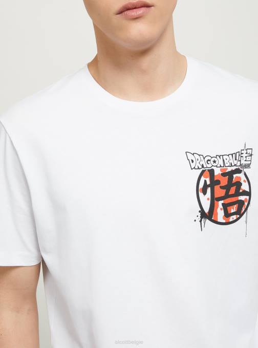 Heren Alcott wh3 wit drakenbal t-shirt kleding PT24665