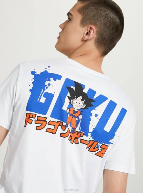 Heren Alcott wh3 wit drakenbal t-shirt kleding PT24667