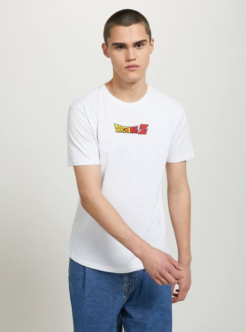 Heren Alcott wh3 wit drakenbal t-shirt kleding PT24667