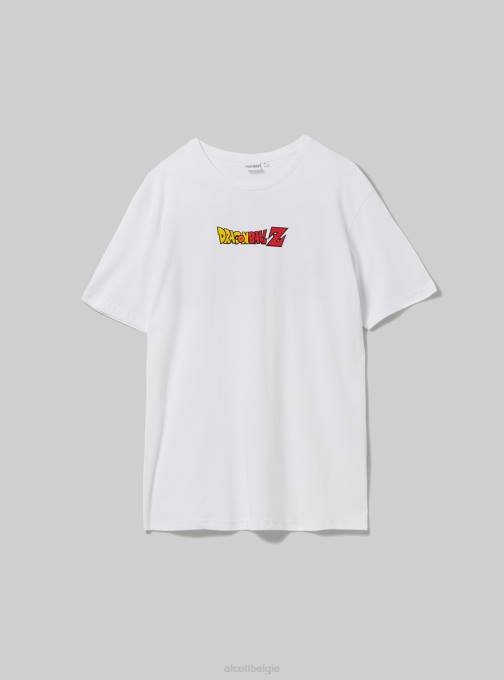 Heren Alcott wh3 wit drakenbal t-shirt kleding PT24667