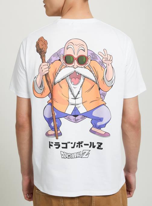 Heren Alcott wh3 wit drakenbal t-shirt kleding PT24868