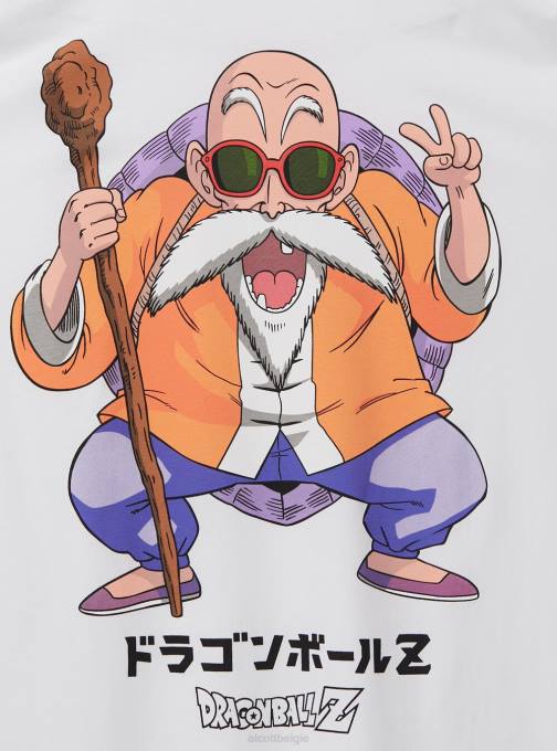 Heren Alcott wh3 wit drakenbal t-shirt kleding PT24868