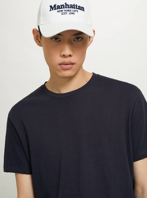 Heren Alcott wit basis katoenen t-shirt kleding PT24679