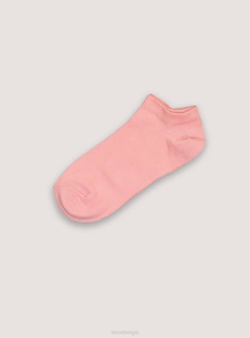 vrouwen Alcott combi 3 set van 4 paia di calzini colorati accessoires PT24531