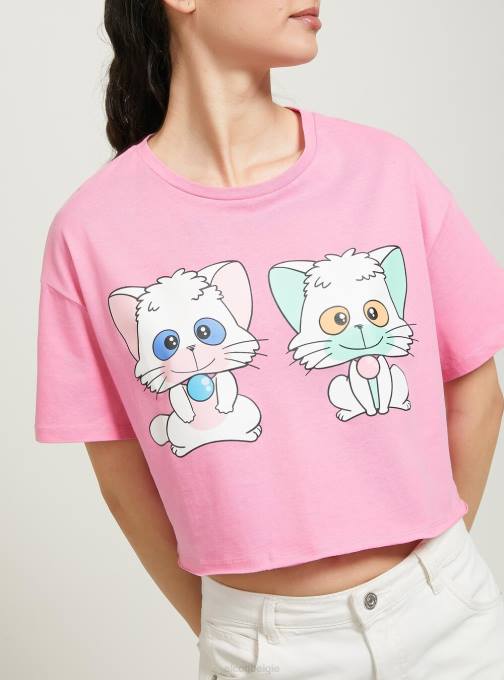 vrouwen Alcott pk2 roze middel romig cropped t-shirt kleding PT24378