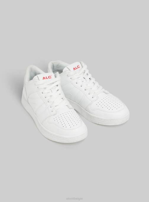 vrouwen Alcott wh2 wit sneakers basse sportief schoenen PT2435